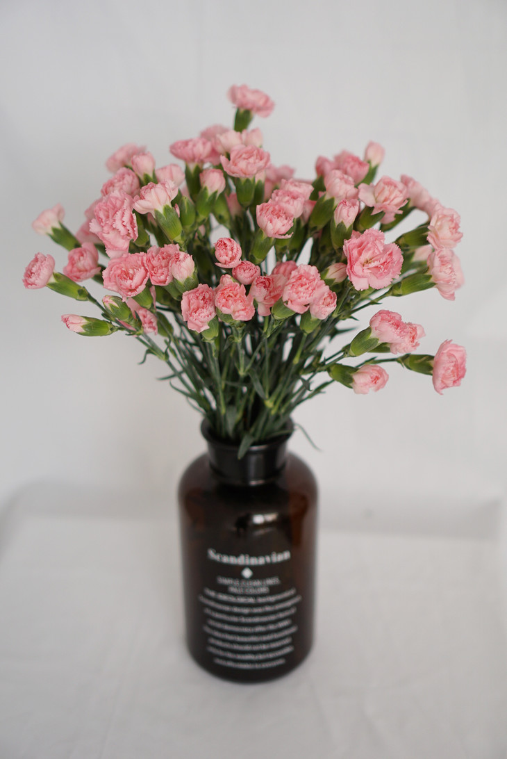 三亿体育手机版-直击CJ:“峰峰三号”惨遭美女包围,“呆妹儿小霸王”“吃鸡”喜笑颜开