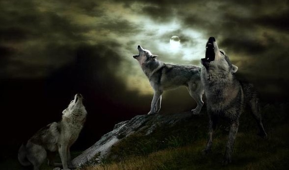 《天堂2:革命》即将登陆中国台湾 国服或在年内推出“三亿体育手机版”(图2) 三亿体育官网