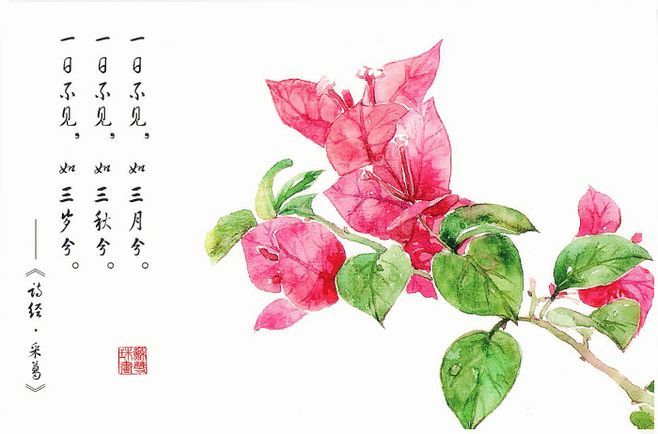 三亿体育官网-昆凌沾周杰伦绯闻练就金刚身 自曝最冒险事为拔后院蘑菇(图3) 三亿体育手机版