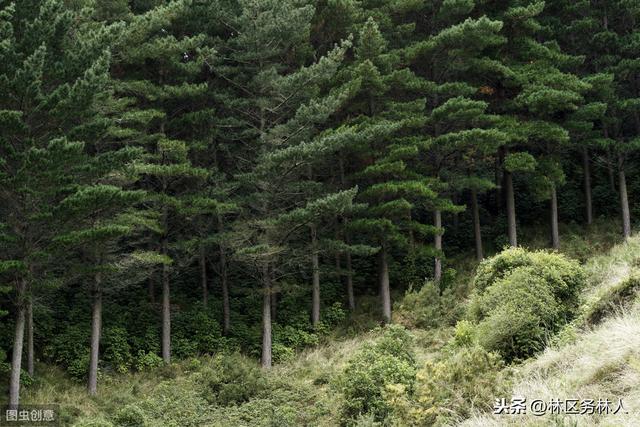 三亿体育手机版:小S欲再追生 谈大S:她生完宝宝开始大哭(图3) 三亿体育