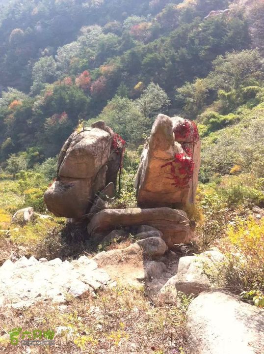 《神仙道2》手游战斗视频曝光 独创即时回合玩法亮眼|三亿体育手机版