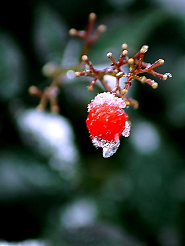 小小突击队第五届战队赛半/总决赛端午开战_三亿体育官网