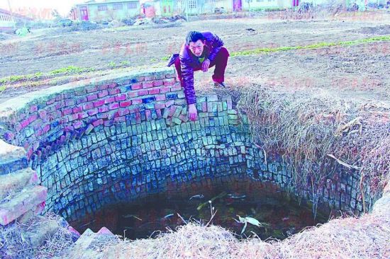 蒜蓉荷兰豆的做法-三亿体育官网