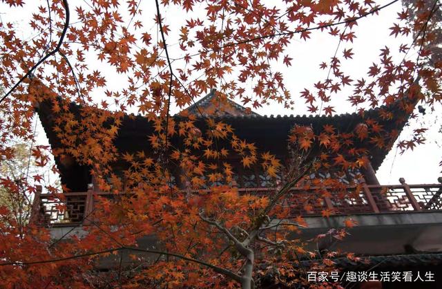 三亿体育手机版