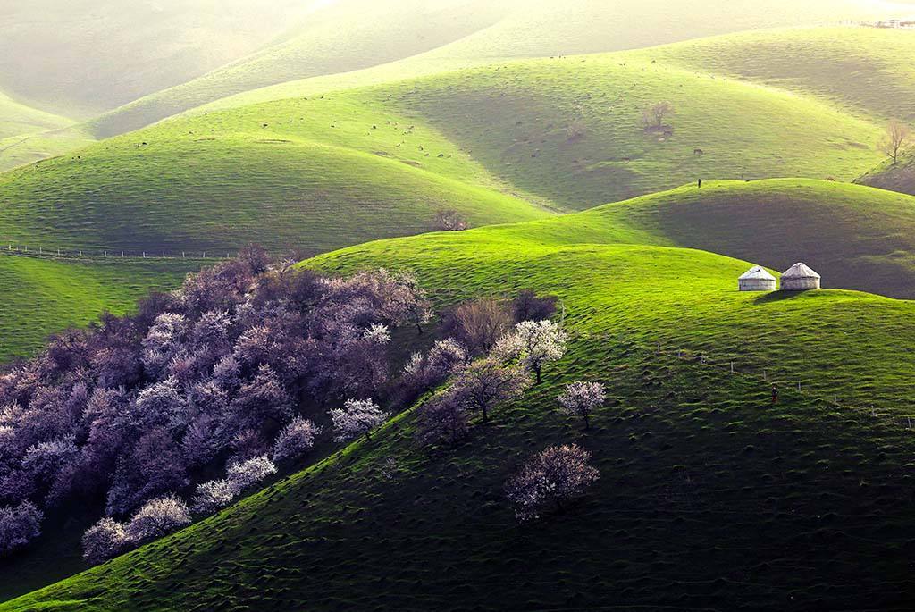 精品咖啡,做的是什么生意:三亿体育(图2) 三亿体育