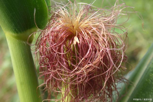 三亿体育手机版