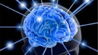 三亿体育手机版