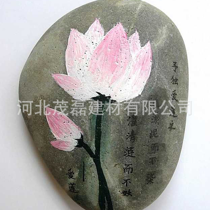 三亿体育手机版