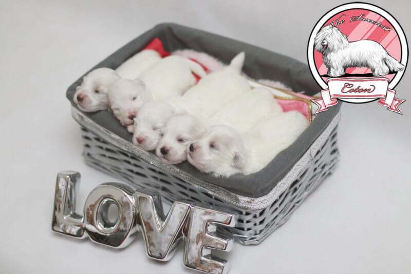 三亿体育手机版