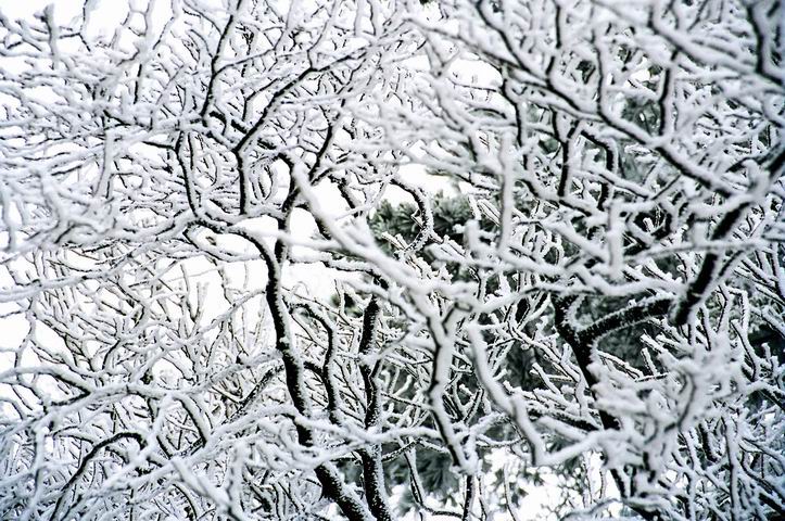 三亿体育手机版