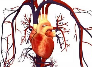 三亿体育手机版