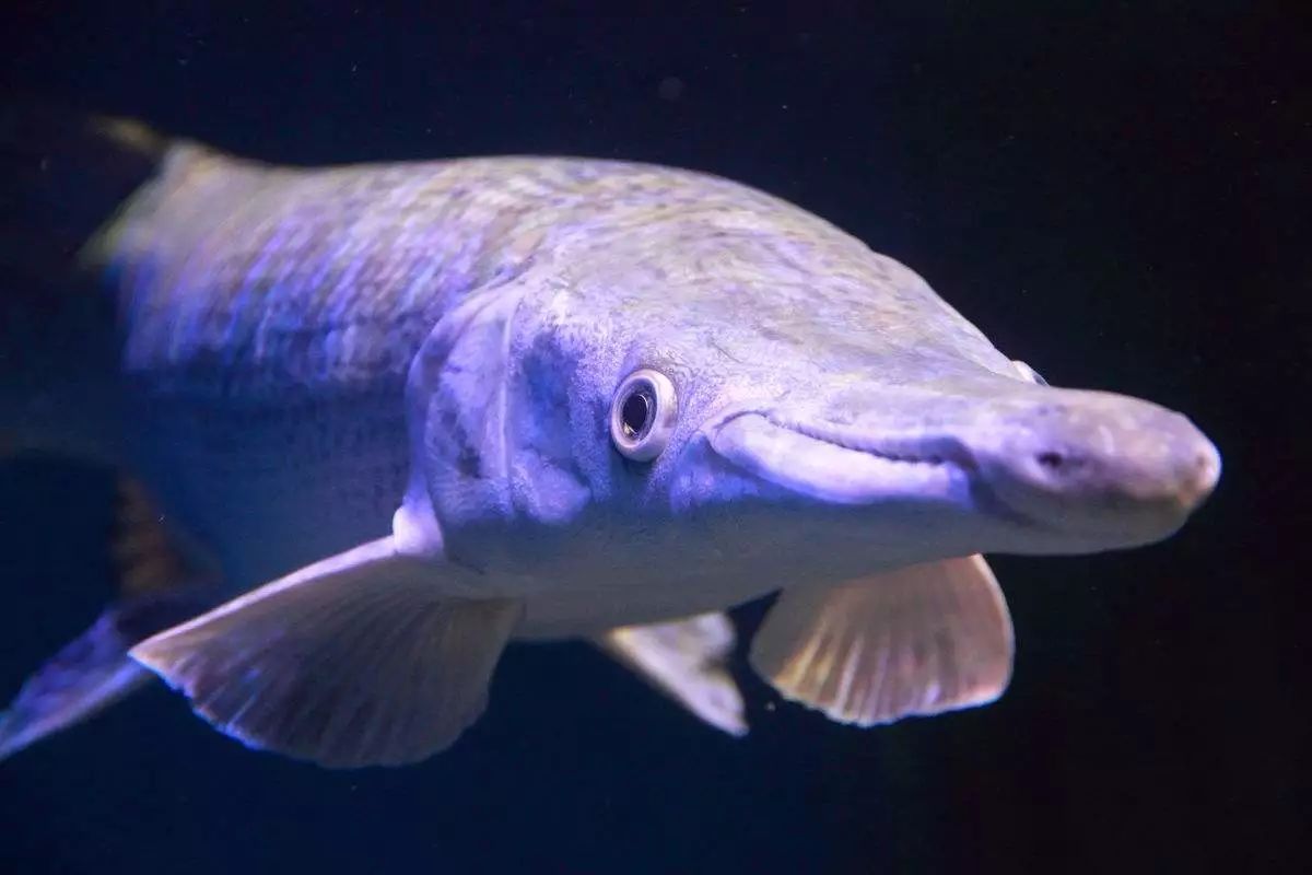 《黎明之路》彩蛋大猜想 没有猜不到只有想不到“三亿体育”(图2) 三亿体育