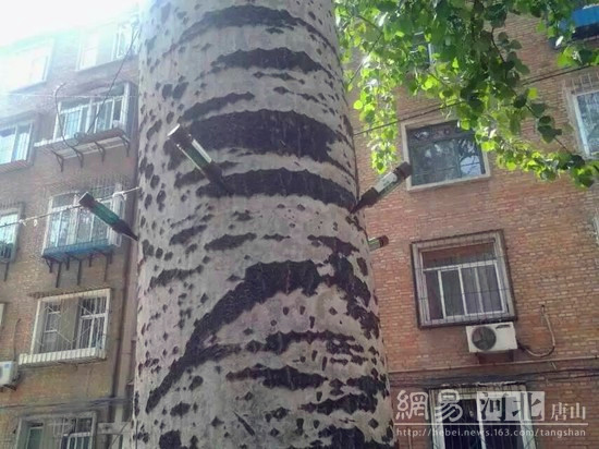 与黎明复合新闻被炒热 舒淇蒙面扮神秘人逛街‘三亿体育手机版’(图4) 三亿体育手机版