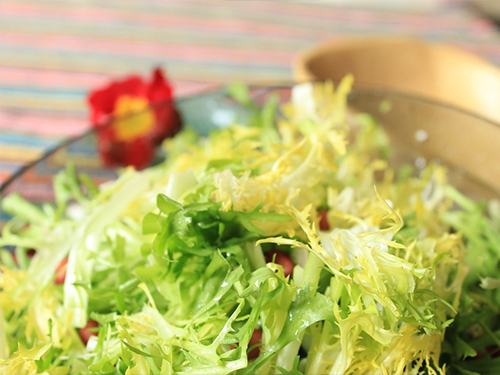 三亿体育手机版