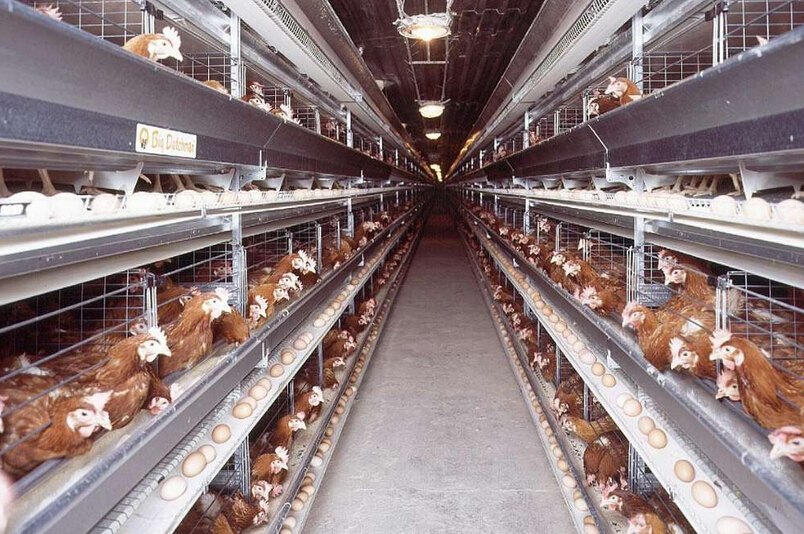 A-Lin“声吶世界巡演”内地首战上海 门票完售引发“连锁效应”|三亿体育(图3) 三亿体育手机版