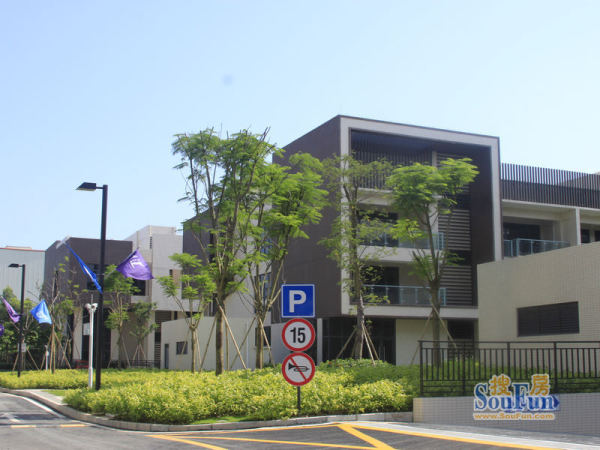 三亿体育手机版