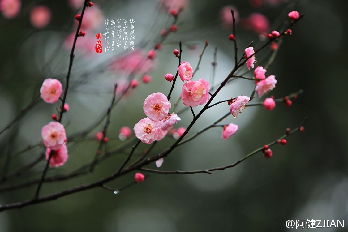 ‘三亿体育’郑秀文直言结婚是终极目标 会去领养小孩(图2) 三亿体育官网