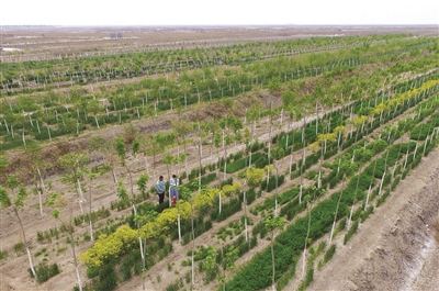 三亿体育手机版