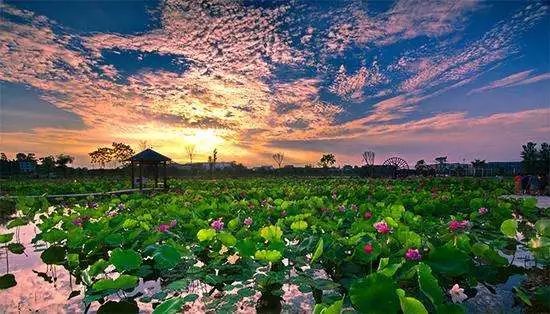 A.R.M.Y.快来!《BTS WORLD》等你来solo【三亿体育官网】(图4) 三亿体育