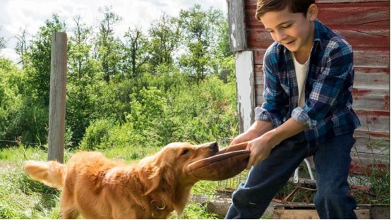 古天乐墨镜扮酷上海代言 透露新片出演消防员【三亿体育官网】(图4) 三亿体育手机版