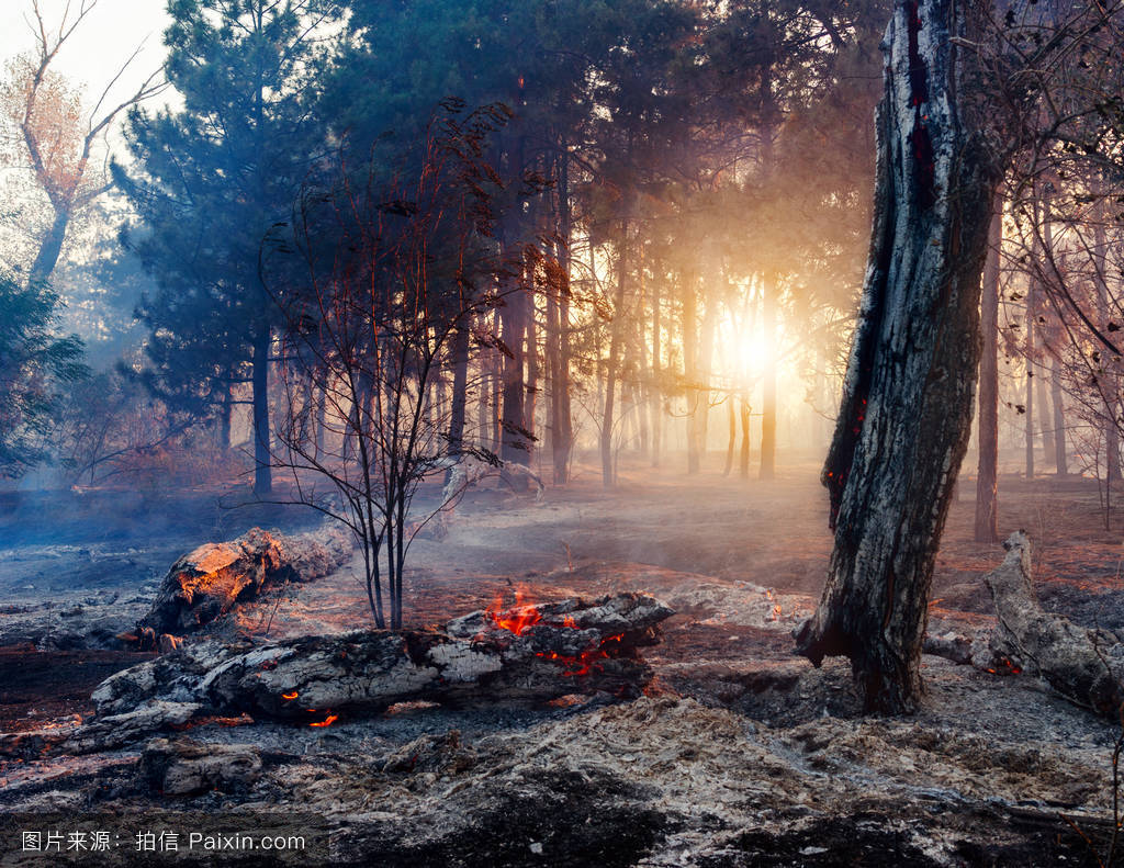 三亿体育手机版