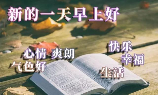 三亿体育