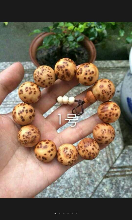 三亿体育