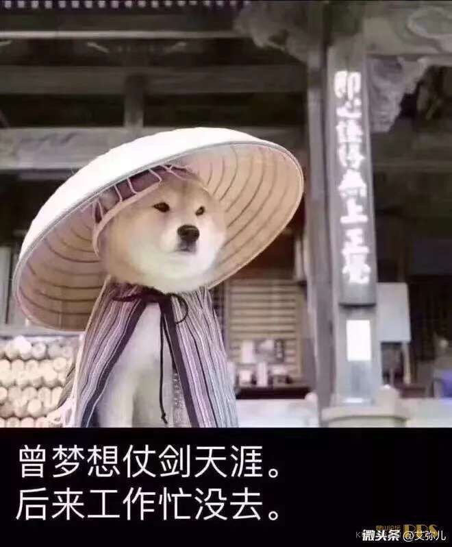 大雄的《牧场物语》都开始了,手机上的牧场生活也不远了吧?|三亿体育官网(图2) 三亿体育
